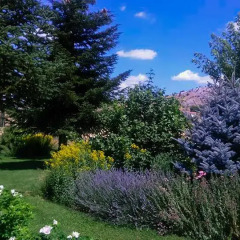 Отель Aparthotel Biosostenible JardÍn Del RÍo Cuervo Трагасете фото 11
