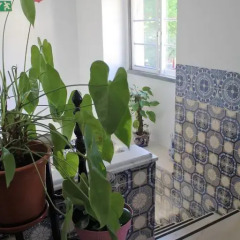 Lisbon Cosy Hostel интерьер отеля