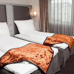 Clarion Hotel Ernst 4* Стандартный номер с двуспальной кроватью фото 3