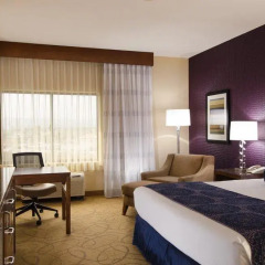 Отель DoubleTree by Hilton Carson 3* Стандартный номер с различными типами кроватей фото 4