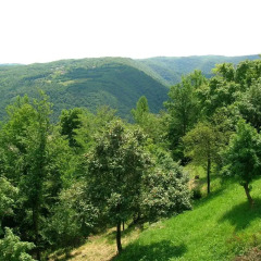 Отель B&B Il Suono del Bosco Италия, Лимена - отзывы, цены и фото номеров - забронировать отель B&B Il Suono del Bosco онлайн фото 13