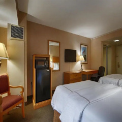 Red Lion Hotel Arlington Rosslyn Iwo Jima 2* Стандартный номер с различными типами кроватей фото 2