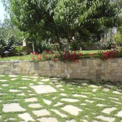 Отель Guest House Roni Болгария, Генерал-Кантраджиево - отзывы, цены и фото номеров - забронировать отель Guest House Roni онлайн фото 3