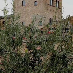 Отель Locanda La Mandragola Италия, Сан-Джиминьяно - отзывы, цены и фото номеров - забронировать отель Locanda La Mandragola онлайн фото 3