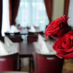 Hotel Dei Platani развлечения
