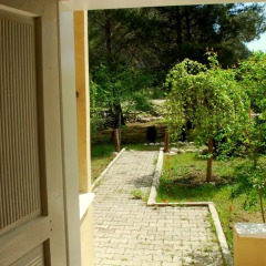 Гостевой Дом Dionysos Lodge Стандартный номер с разными типами кроватей фото 15