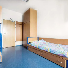 Dizzy Daisy Hostel Riviera Стандартный номер с различными типами кроватей фото 3