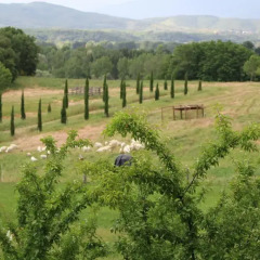 Отель Fattoria Tabarrino Ареццо приотельная территория