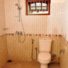 Отель Manoj Holiday Home Шри-Ланка, Бентота - отзывы, цены и фото номеров - забронировать отель Manoj Holiday Home онлайн ванная