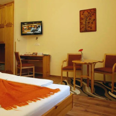Hotel Manzard Panzio 3* Стандартный номер с различными типами кроватей фото 10