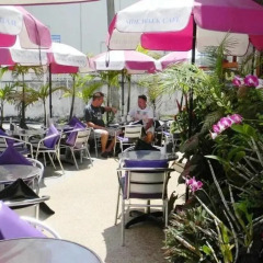 Orchid Hotel and Spa