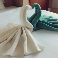 Апартаменты Bach Duong Apartment ванная