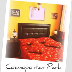 Cosmopolitan Park Hotel 3* Стандартный номер с различными типами кроватей фото 9
