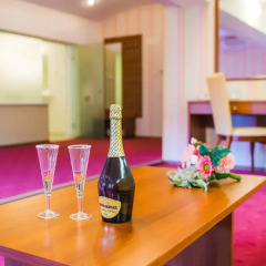 SPA Hotel Borova Gora 4* Люкс повышенной комфортности с различными типами кроватей фото 13