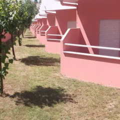 Отель Ribeirotel