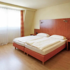 Hotel Alte Fabrik 3* Стандартный номер с различными типами кроватей фото 3