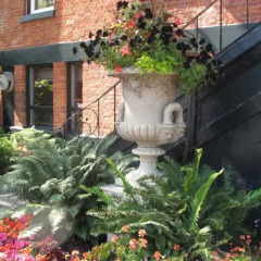 Отель James Bay Inn Hotel, Suites & Cottage Канада, Виктория - отзывы, цены и фото номеров - забронировать отель James Bay Inn Hotel, Suites & Cottage онлайн фото 7