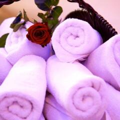 Wellness & Spa Hotel Ambiente спа