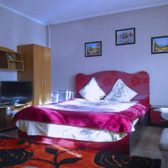 Отель Paradise Apartment Кыргызстан, Бишкек - отзывы, цены и фото номеров - забронировать отель Paradise Apartment онлайн комната для гостей фото 3