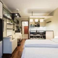 Апартаменты Albertov Rental Apartments Прага комната для гостей фото 4