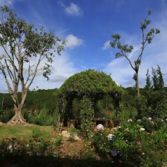 Отель Zen Valley Dalat Бунгало фото 7