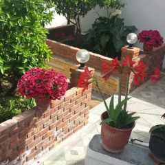 Отель Guesthouse Arben Elezi Албания, Берат - отзывы, цены и фото номеров - забронировать отель Guesthouse Arben Elezi онлайн фото 2