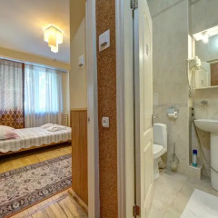 Гостиница Александрия 3* Стандартный номер с разными типами кроватей фото 27
