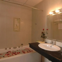 Sophia Hotel 3* Улучшенный номер с различными типами кроватей фото 9