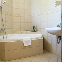 Отель Feng Shui Wellness Apartmanház Венгрия, Хевиз - отзывы, цены и фото номеров - забронировать отель Feng Shui Wellness Apartmanház онлайн ванная фото 2