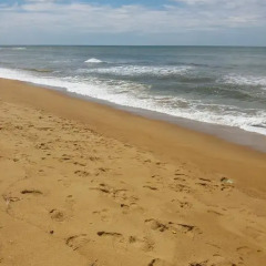 Отель Seasand Holiday Home 2* Стандартный номер с различными типами кроватей фото 39