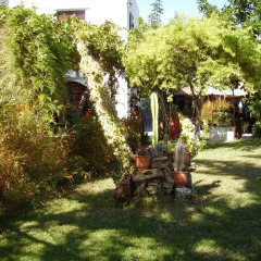 Summer Lodge in Agia Marina, Greece from 66$, photos, reviews - zenhotels.com
