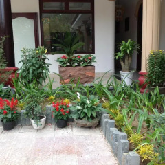 Отель Hoi An Sala Хойан фото 5