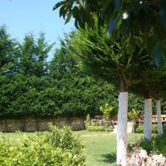 Отель Villa M Cako Албания, Ксамил - отзывы, цены и фото номеров - забронировать отель Villa M Cako онлайн фото 14