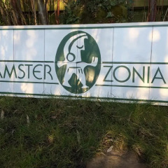 Отель Amsterzonian B&B Нидерланды, Амстердам - отзывы, цены и фото номеров - забронировать отель Amsterzonian B&B онлайн