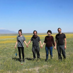 Отель Almaty Backpackers Алматы приотельная территория