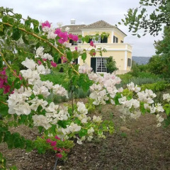 Отель Casa dos Ventos фото 2