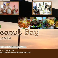 Отель Coconut Bay Шри-Ланка, Калутара - отзывы, цены и фото номеров - забронировать отель Coconut Bay онлайн интерьер отеля