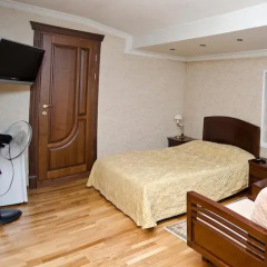 Гостиница Edelweiss Hotel в Новосибирске 1 отзыв об отеле, цены и фото номеров - забронировать гостиницу Edelweiss Hotel онлайн Новосибирск комната для гостей фото 5