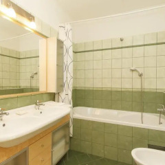 Апартаменты King Wenceslas Apartments Прага ванная