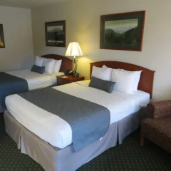 Отель Best Western Buffalo Ridge Inn 2* Стандартный номер с 2 отдельными кроватями