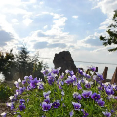 Отель Kapadokya Karşı Bağ Camping Ургуп пляж