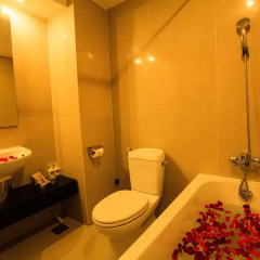 Отель Paragon Villa Hotel Вьетнам, Нячанг - 2 отзыва об отеле, цены и фото номеров - забронировать отель Paragon Villa Hotel онлайн ванная фото 2