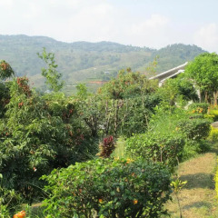 Отель The Begnas Lake Resort & Villas Непал, Лехнат - отзывы, цены и фото номеров - забронировать отель The Begnas Lake Resort & Villas онлайн фото 6