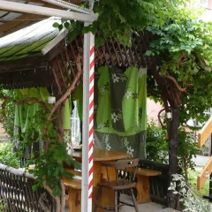 Отель Akácvirág Vendégház és Apartman Венгрия, Силвашварад - отзывы, цены и фото номеров - забронировать отель Akácvirág Vendégház és Apartman онлайн фото 6