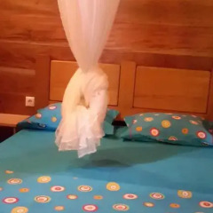 Porcelana Hotel 3* Стандартный номер с различными типами кроватей