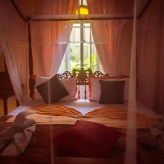 Отель Frangipani Motel 3* Номер Делюкс фото 2