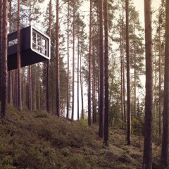 Tree Hotel 5* Бунгало с различными типами кроватей фото 6