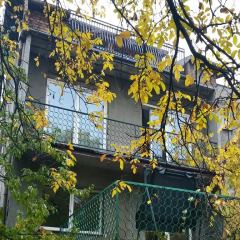 Hostel Kaktus детские мероприятия
