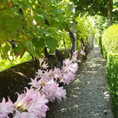 Отель Quinta das Aranhas Кастело-де-Пайва фото 10