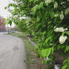 Гостиница Анзас